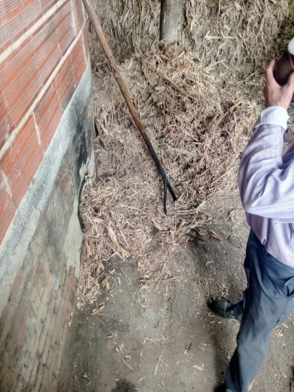 dde14869-ddce-4aff-bd7a-0d702902eed6