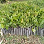 WhatsApp Image 2025-01-17 at 7.20.06 PM